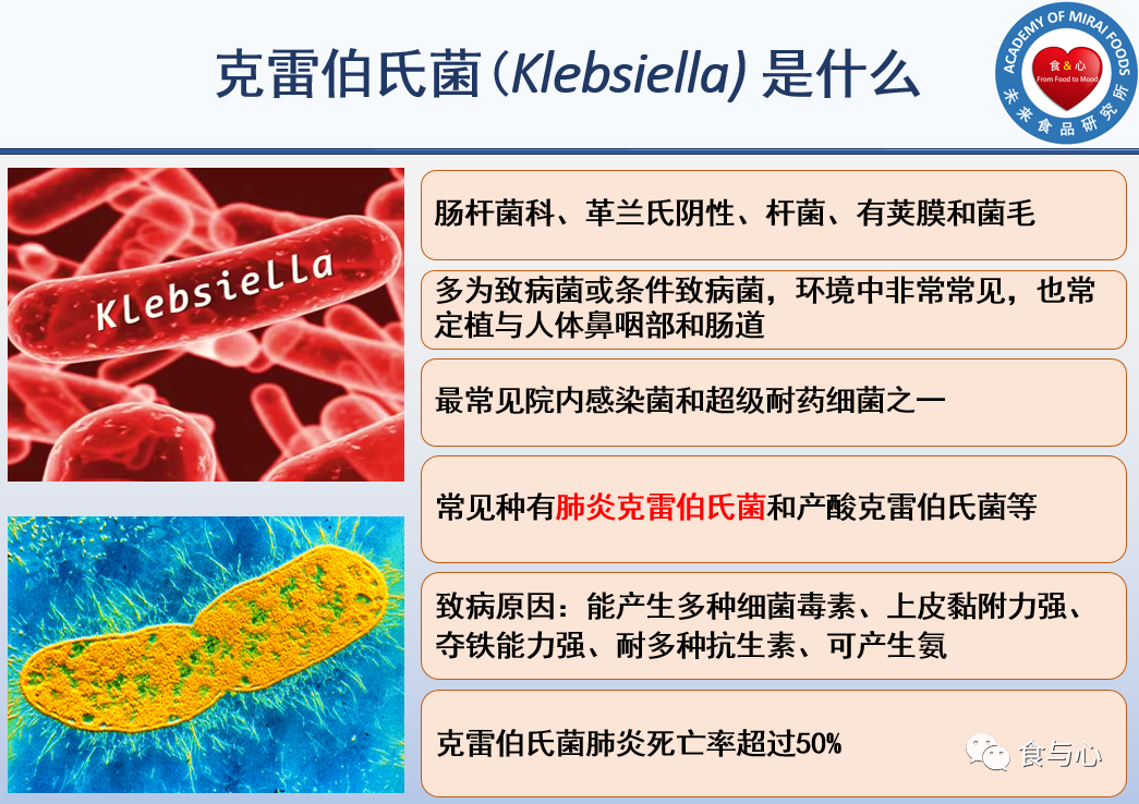 《cell》最新研究揭示肠道细菌如何影响大脑发育