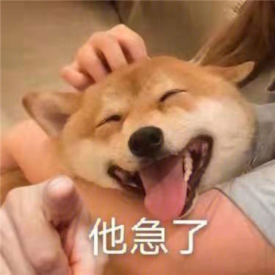 桉月|狗狗爆笑的聊天表情合集