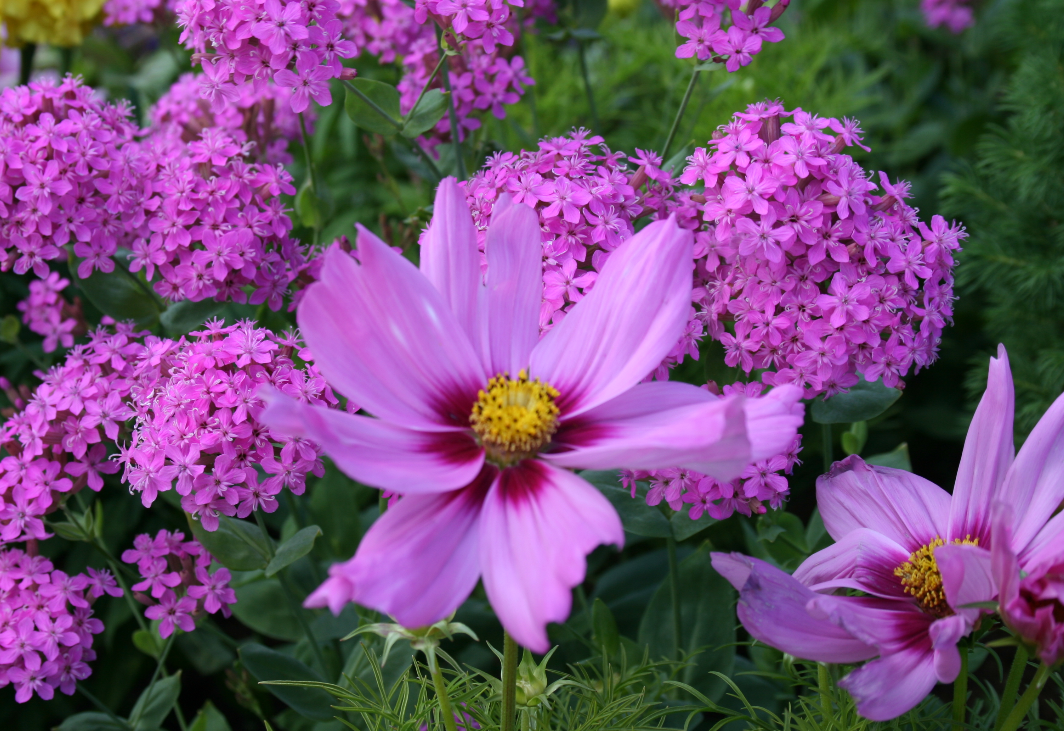 生肖夜读|7月中旬,长夜漫漫,思念难熬,3生肖难以入睡,似醒非醒,爱情撩人,扰乱清梦