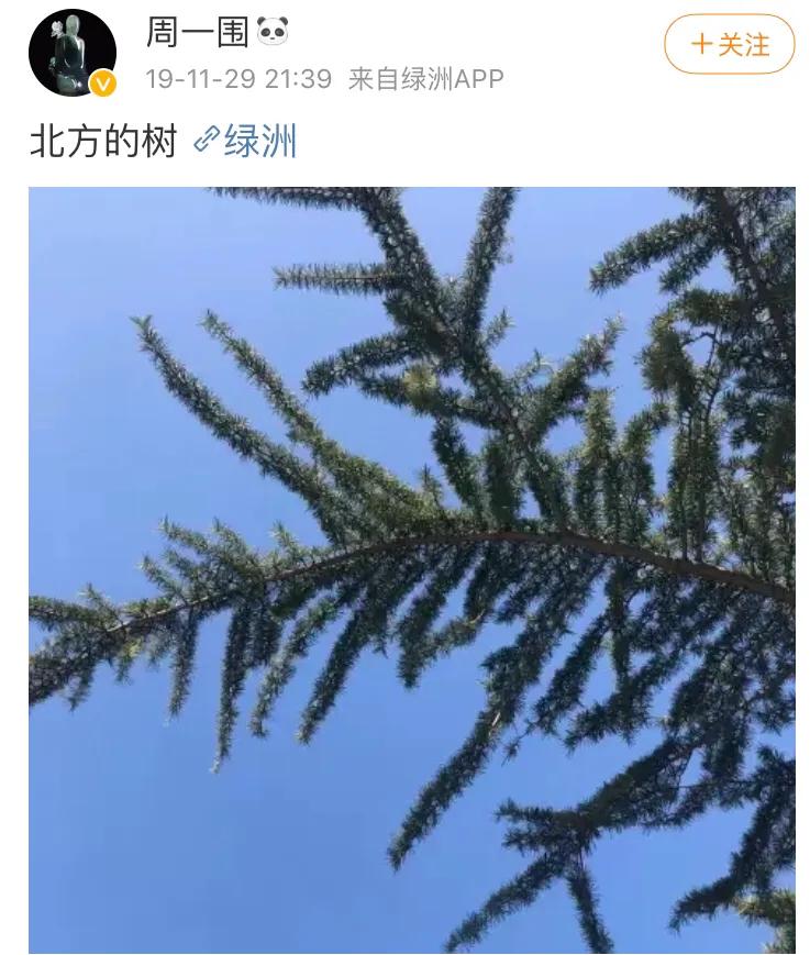 周一围|周一围，好“奇葩”的一演员