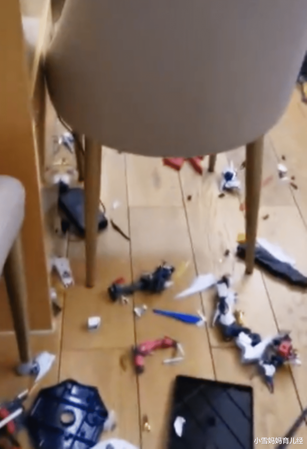 小雪妈妈育儿经|父子吵架酒后砸碎儿子收藏的模型,碎的不只是模型,还有孩子的心