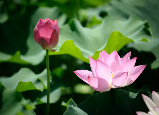 星临天下 10月下旬,开门大吉,4属相贵人相助,财源滚滚,生活越来越美好