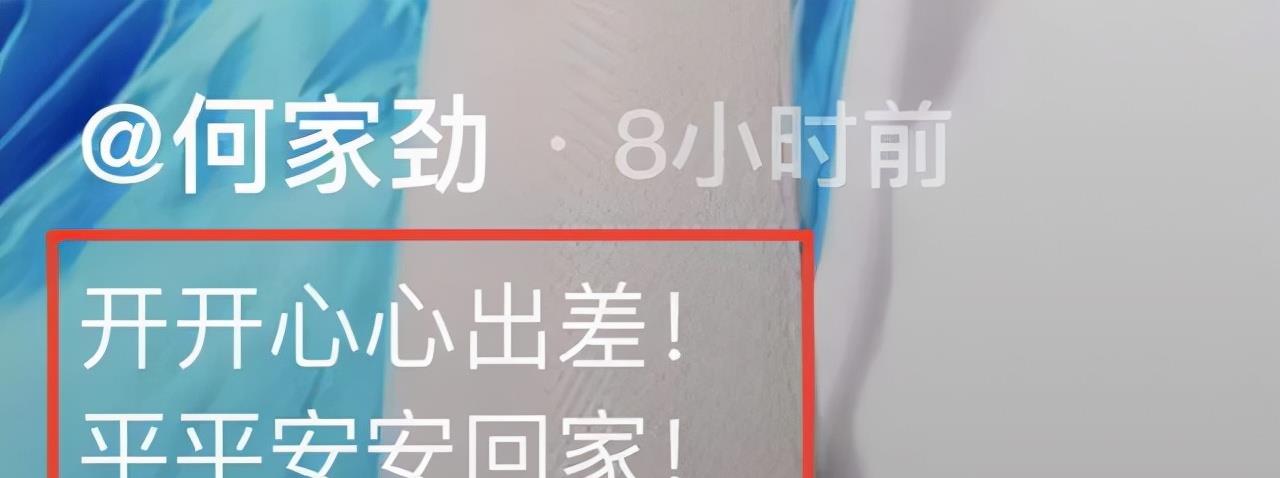 二师姐的花事心情 何家劲高情商回应争议!3500元底薪被嘲太低,失业者仍向其求工作