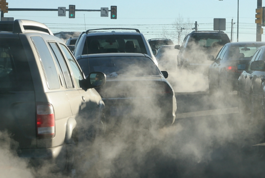 千金芳|?吃一口胜过3斤雪梨,呼吸科医生提醒:若你爱吃,止咳散结,肺结节一天天好转