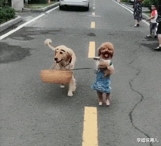 学姐说育儿|神回复:买了一双鸿星尔克,右脚磨脚怎么办?被这神评笑死了