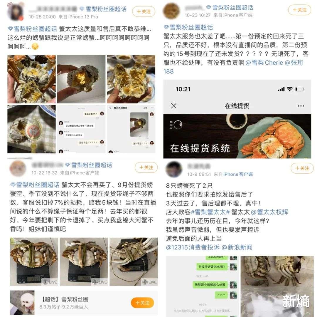 雪梨|“三天一生气，两天一大哭”，雪梨难成直播一姐？