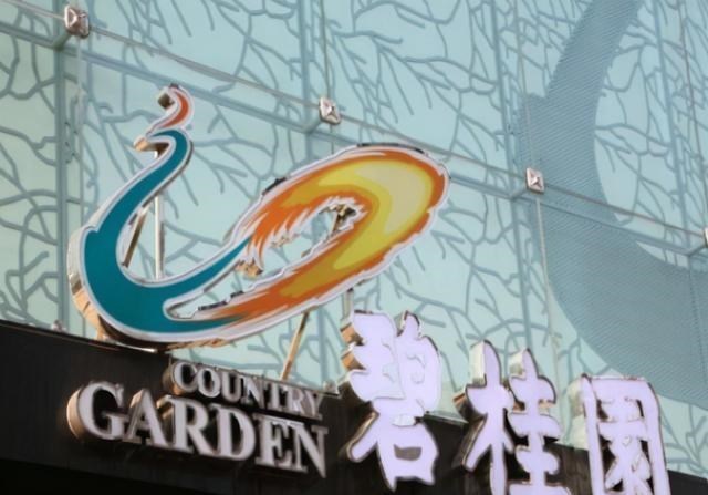 水口镇|“碧桂园”杨惠妍：中国富有的女继承者，26岁继承父业