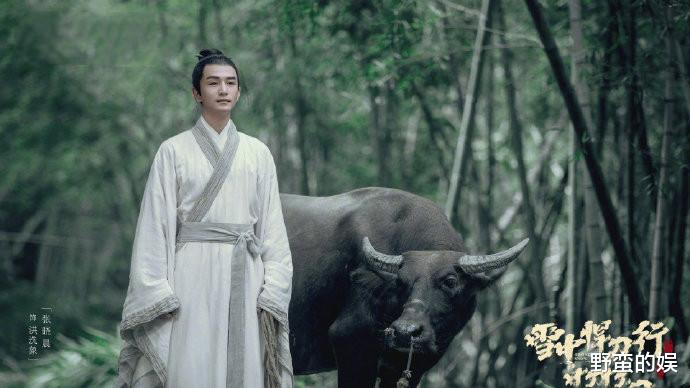 张若昀|《雪中悍刀行》央视将播,张若昀王倦聚首,“英雄榜”颜值爆表