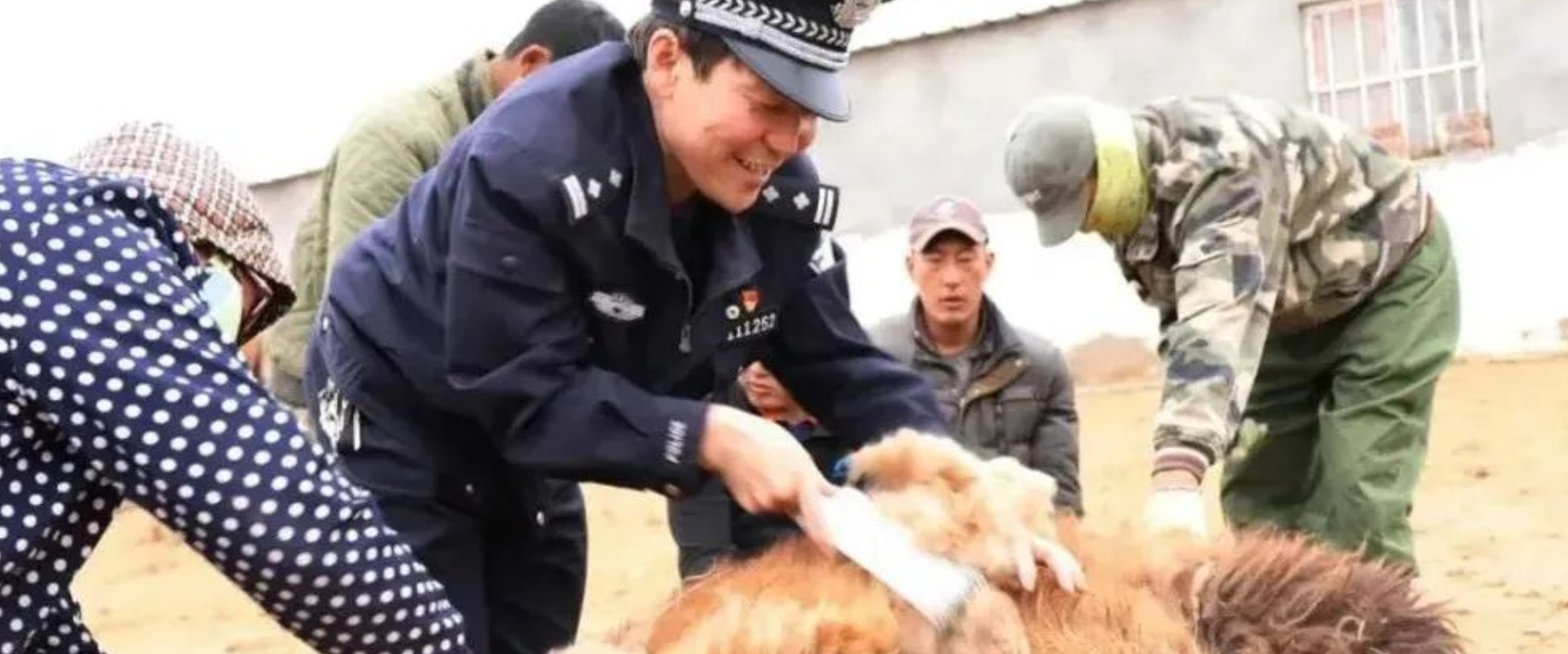 民警|超3亿！还剩最后5天！