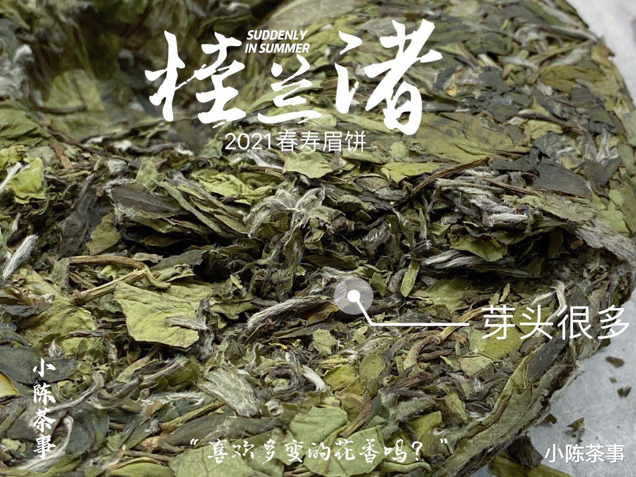 红枣|白茶的正确喝法,是加佐料,还是清饮?这么多年来你喝对了吗?