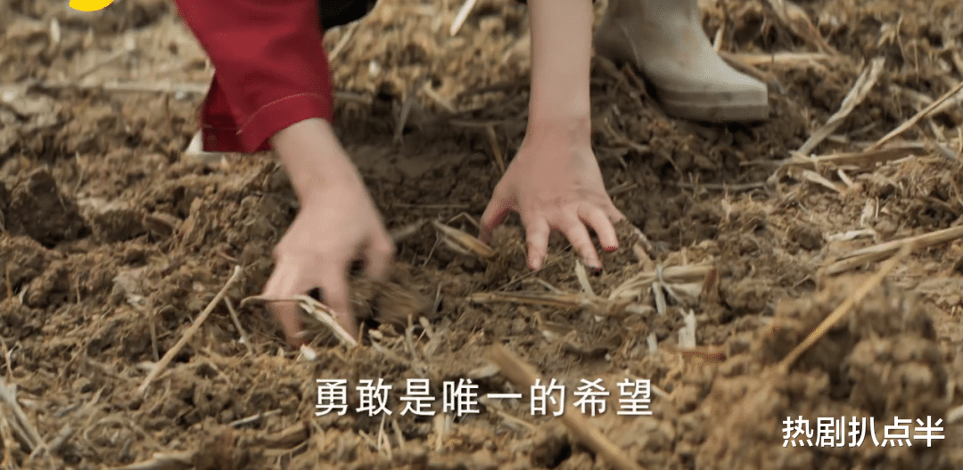 赵丽颖|赵丽颖演技又被吐槽？演农民刨地有气无力，其实细节都在她的手上