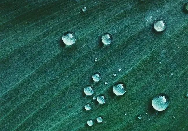  喝氢水 + 吸氢气，为什么要齐头并进？