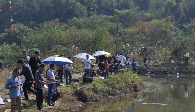 |野钓比黑坑费钱，老婆说：生活质量直线下降，还是玩黑坑吧！