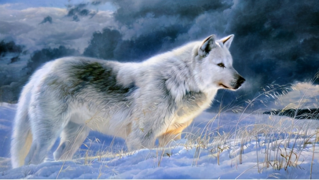  越没钱，越不能急着赚钱，你得先掌握这6个富人思维，摆脱贫穷