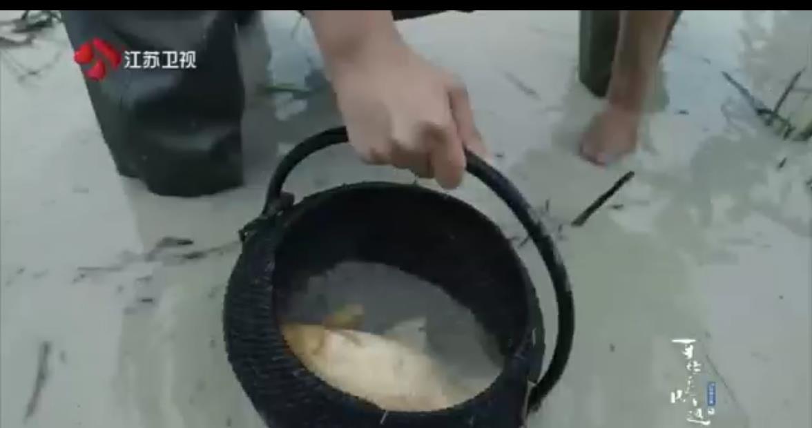 杨超越|杨超越那些奇奇怪怪的技能点 新添人类高质量捕鱼达人称号