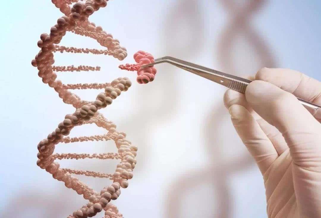 人类最多能够活到多少岁?科学家告诉你答案,或超乎你的想象