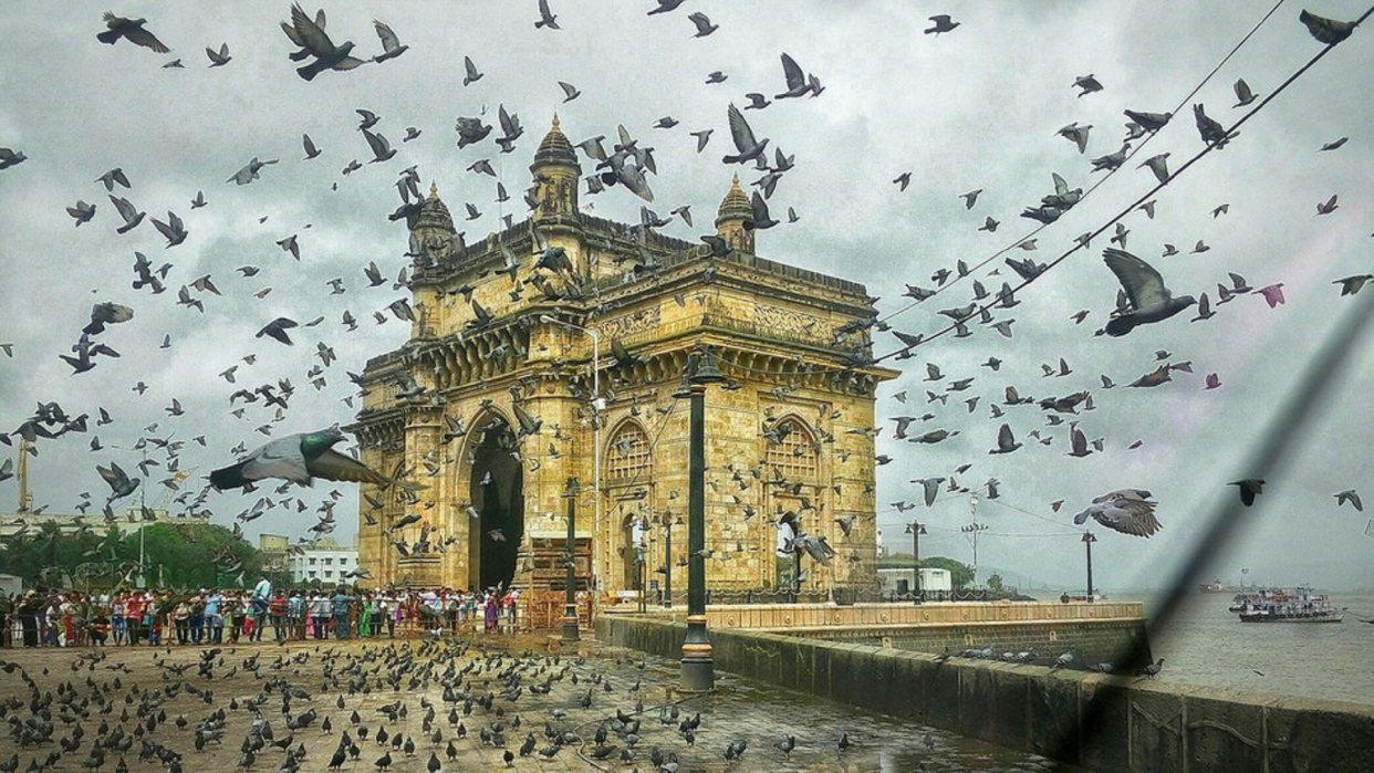 印度 印度正在“过河拆桥”,印度经济或将倒退25年,或将成下一个委内瑞拉