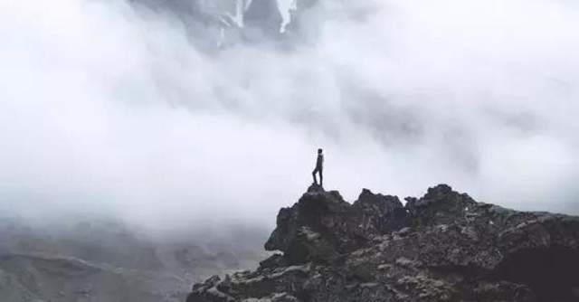 摇摆的红树叶|努力往往都是迫于无奈，有的时候成功就是被逼出来的
