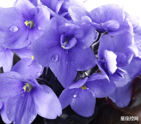 刮目相看|哪些月份出生的人，悄悄在努力，5月令人刮目相看，6月惊艳四座