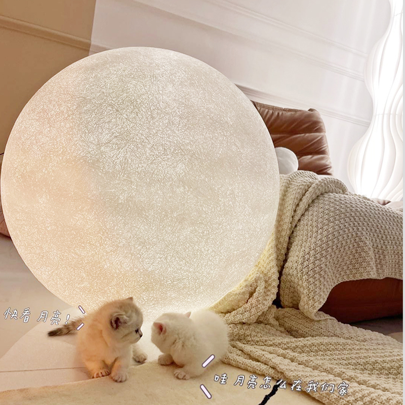 花5000块，把14㎡阳台变成一个小花园，小小的改变感受大大的幸福