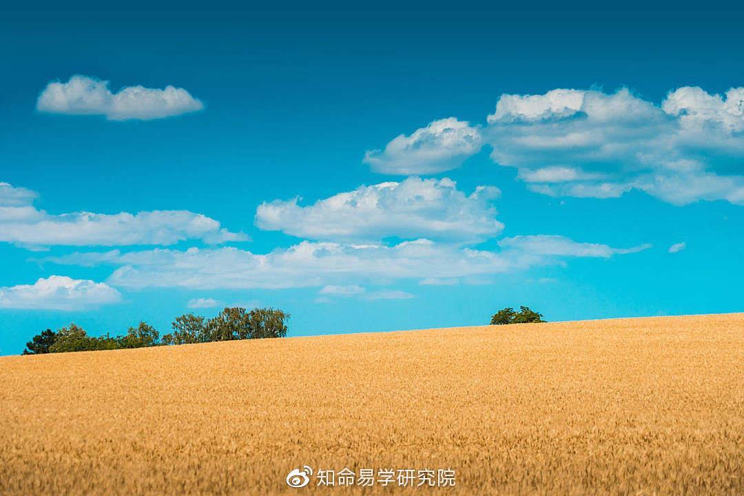知命命理服务平台|知命独家日运：五月三十吉祥！职场见机行事，感情放达一心！