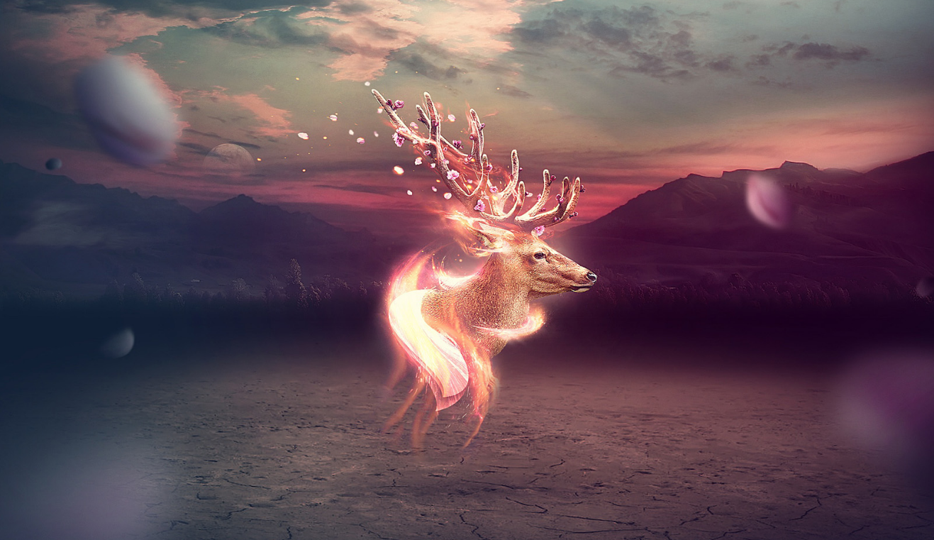 禽倌|要获取这个星座的信任，难度真心够高，3个硬核原因决定了这一点