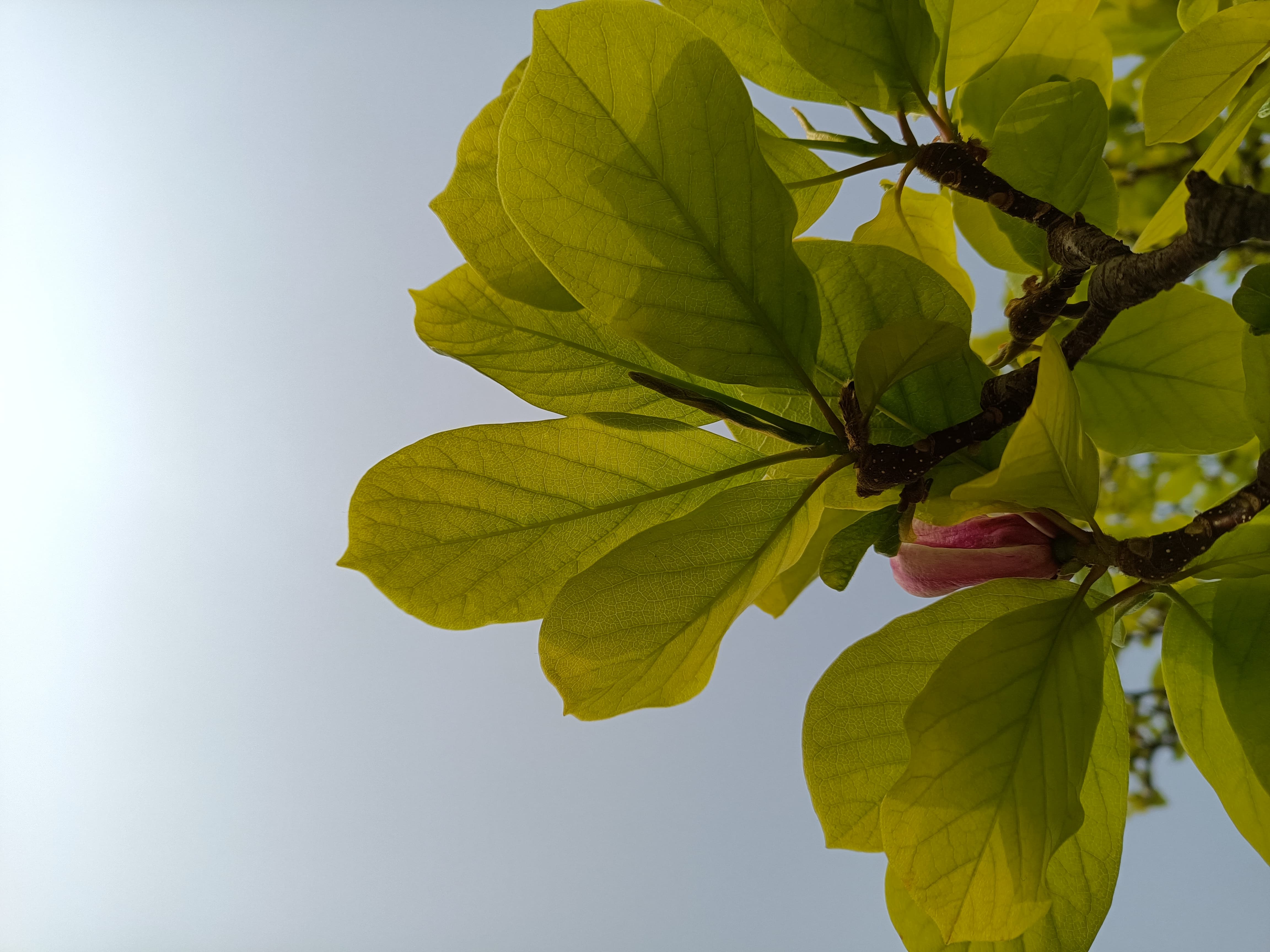 realme|realme真我GTNeo评测:可以说是千元档内,唯一一款基本无短板的手机