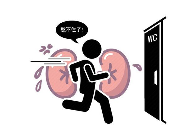 健康周谈|喝水就有尿和长时间没尿,到底哪种更健康?医生:需根据情况而定