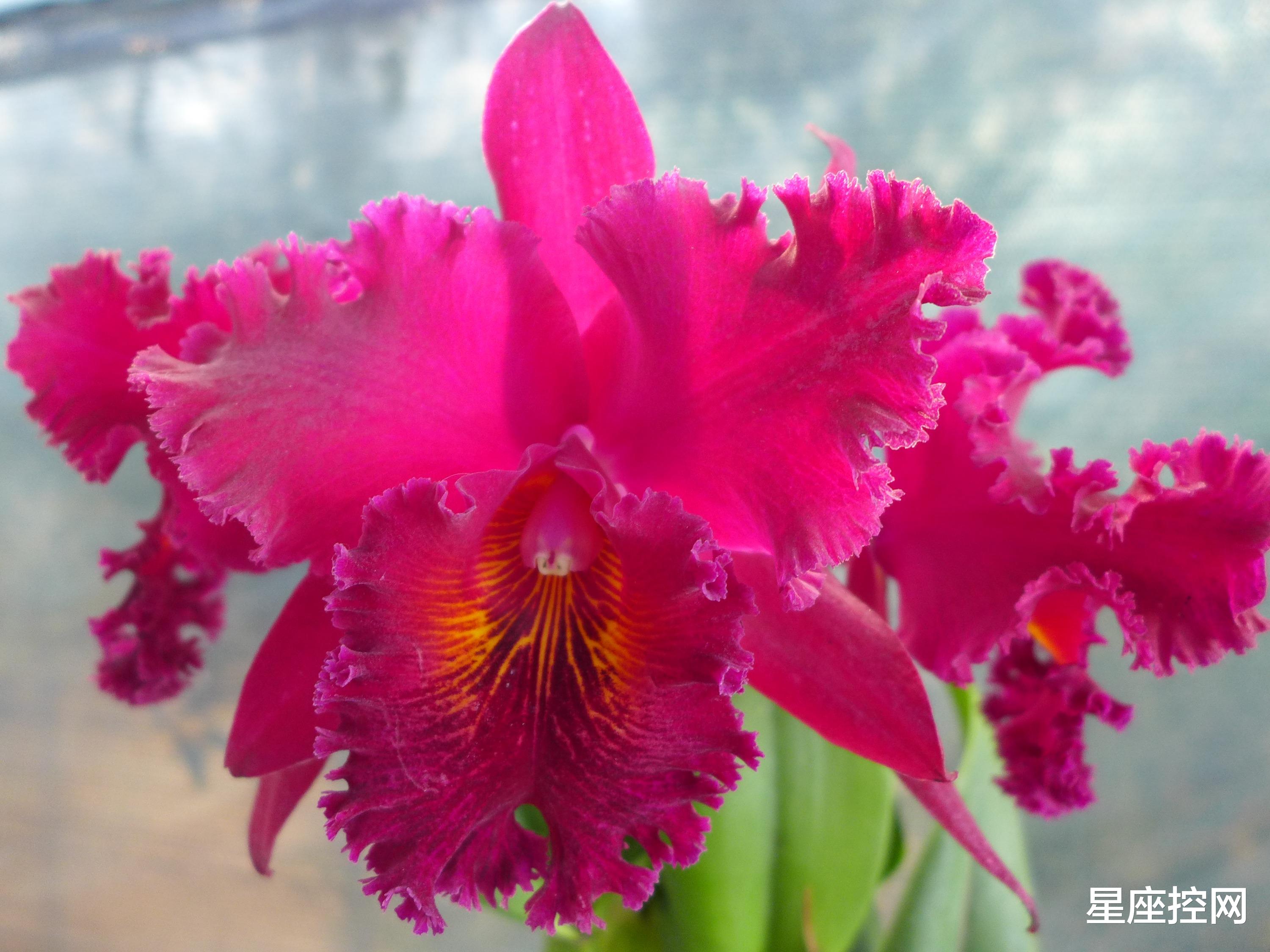 |哪几个日子出生的人，就算再艰难，事业也能凭借真本事，赢得尊重