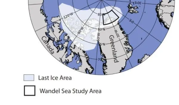美国 阿拉伯高温73℃、美国50℃致死600人，北极最后冰区融化：地球怎么了？