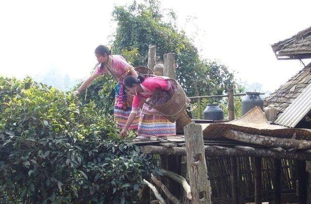 海边 云南将迎来一座最美火车站,这座风景如画的城市将结束无铁路时代