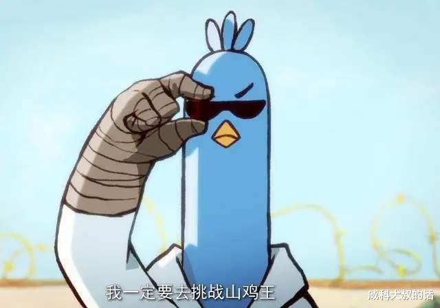 擂台|鸡也分三六九等？《刺客伍六七》斗鸡大赛生死局，蓝羽鸡逆天改命