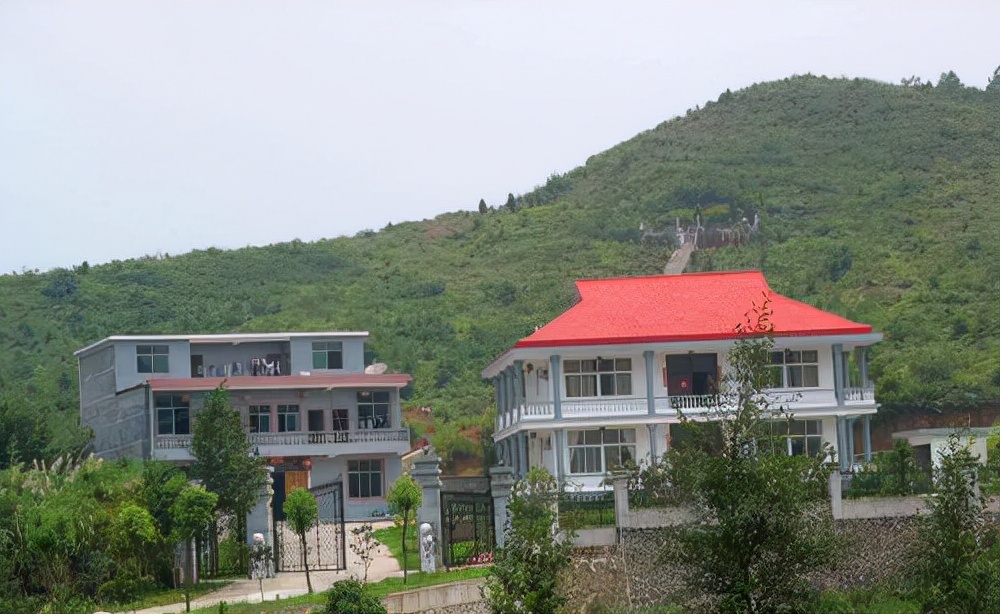 陈红|曾为张柏芝手撕吴君如，后将杨幂踢出京圈，陈红究竟凭的是什么？