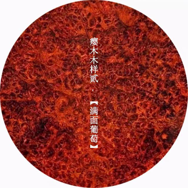 小王话红木|干货分享：中国古典家具用材图鉴！（多图）