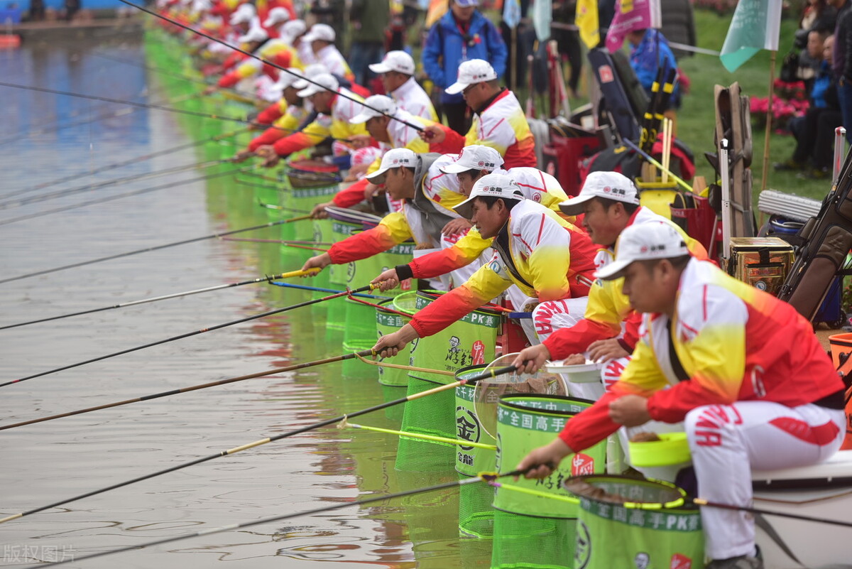 饵料|比赛时指定用饵狂拉爆连，购买后去垂钓却效果不佳，咋回事？