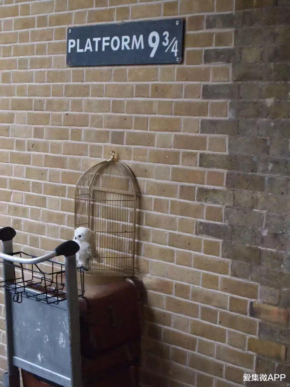 爱集微APP 老兵戴辉：回忆当年春运，有芯片大佬的爱情故事