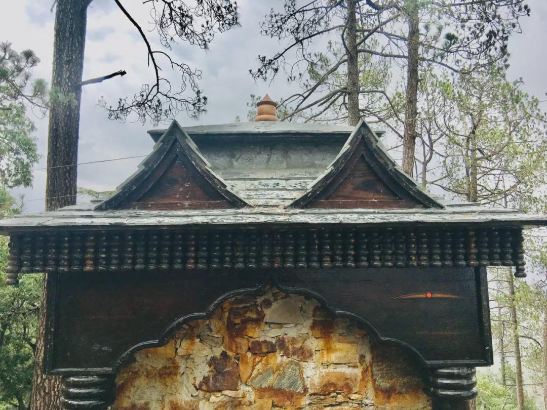 丑故事|寻访泰戈尔故居，一个人在印度密林里迷路