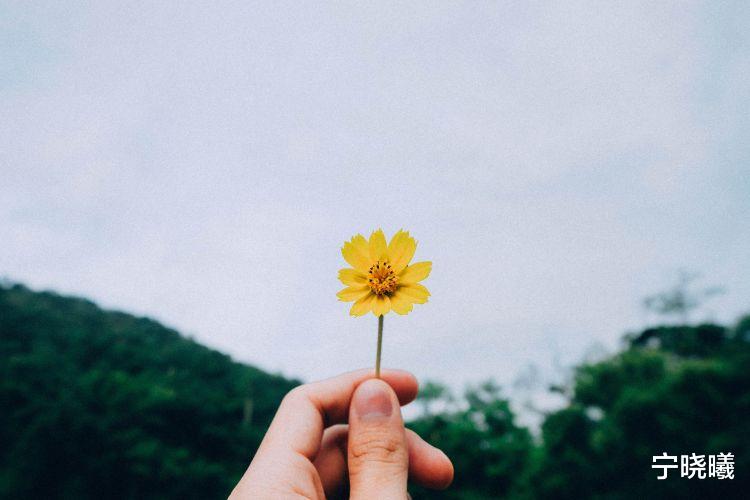 宁晓曦|巨蟹座生气时，心里都在想什么？