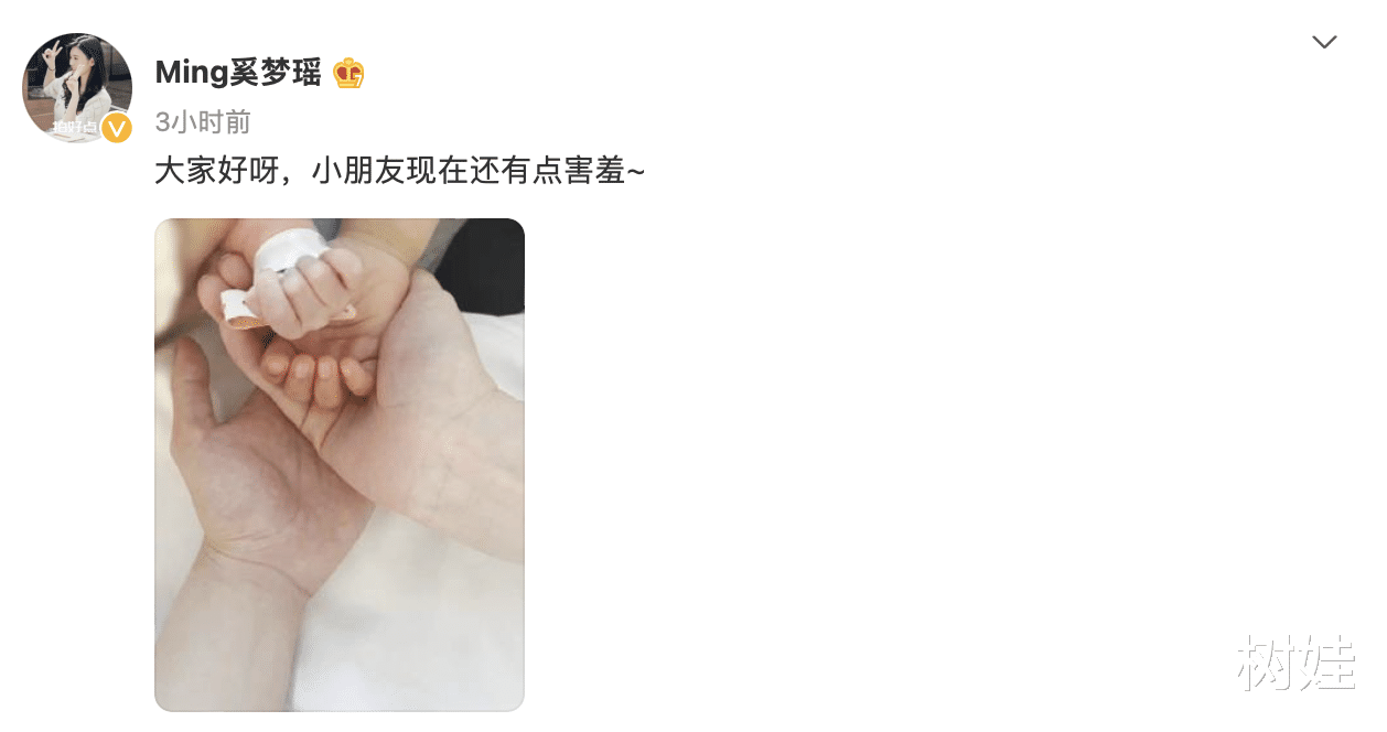 赘婿|梁安琪为奚梦瑶二胎生女感到开心，专程到上海陪产，婆媳相处融洽