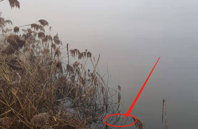 空军|钓鱼要钓草，不然瞎胡跑！要注意有种草你要钓了的话，也是瞎胡跑