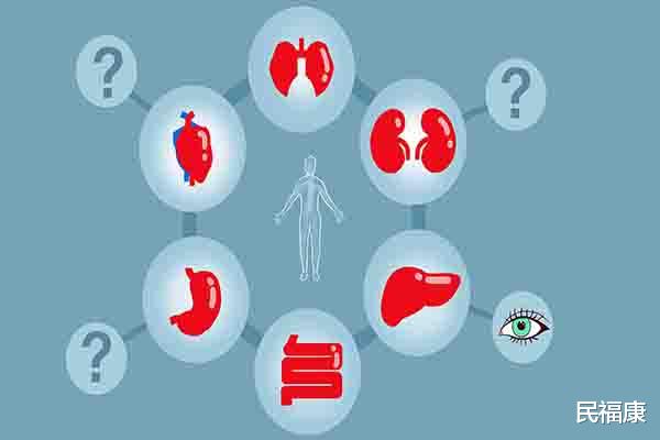 补品|身体虚，补一补就上火，为什么会出现“虚不受补”? 原因很简单