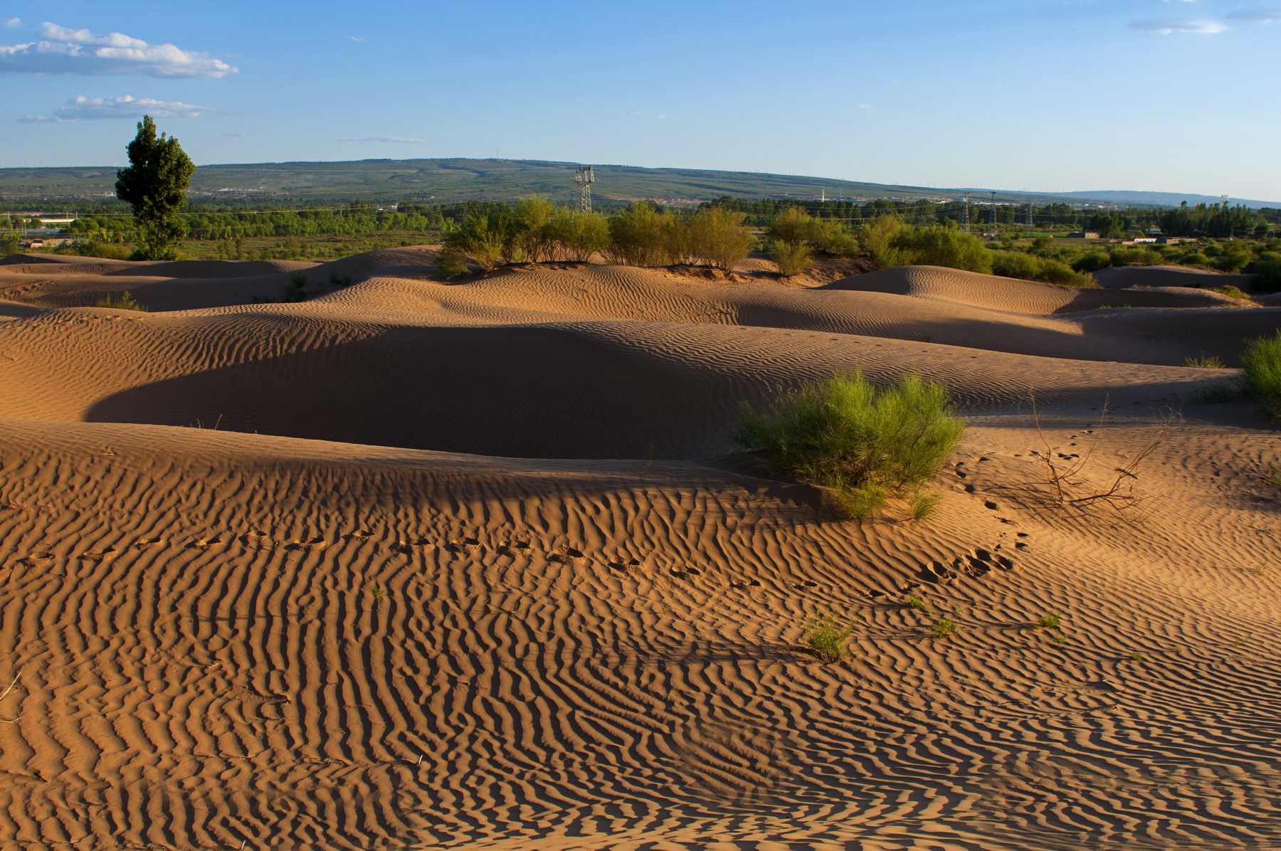 塔克拉玛干沙漠|如果塔克拉玛干沙漠变成草原的话,会对中国气候有什么