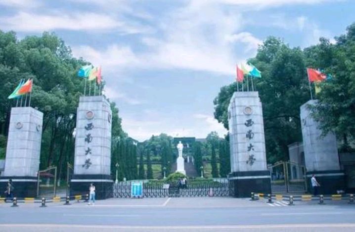 求职|李明亮985本硕连读，为何读博他却足足读了9年，不毕业