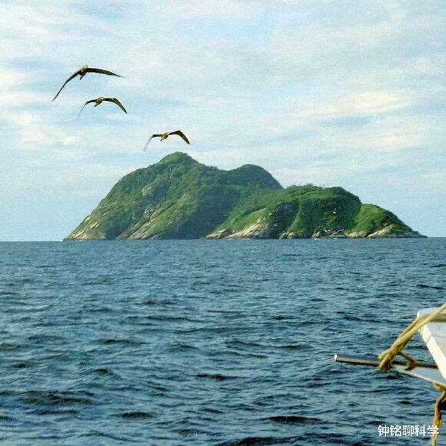 毒蛇|我国毒蛇最多的地方，0.73平方公里生活着20000条毒蛇，毒性极强