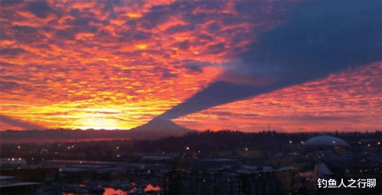 |27张活久见的照片，看完涨姿势了