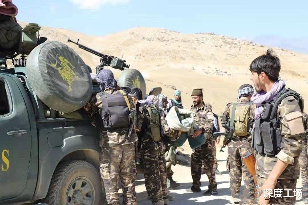 蜘蛛|小马苏德不钻地洞不逃跑!塔利班那么厉害:为何几个月都抓不到?