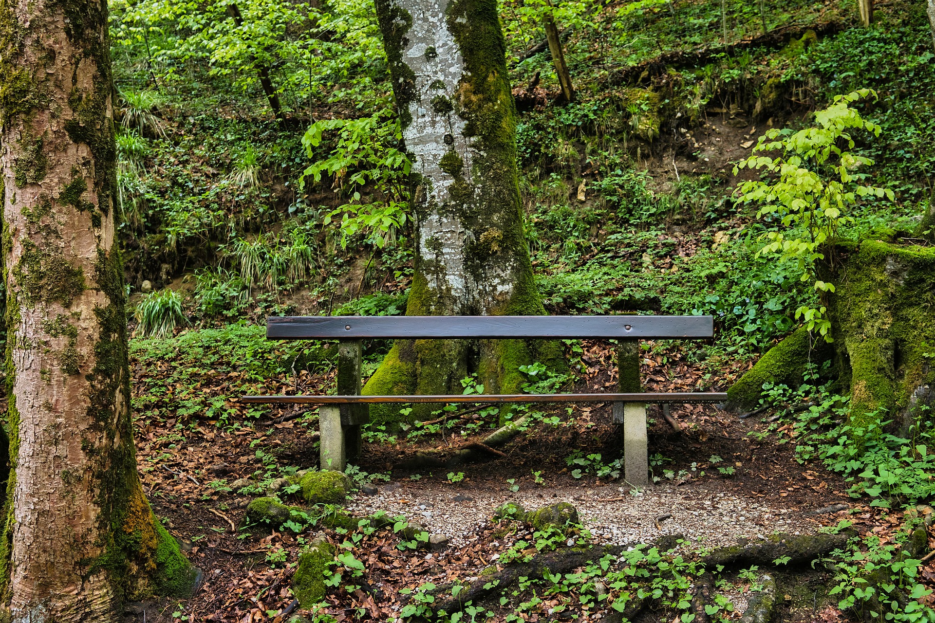  大自然的美丽不是一句话就能概括的！