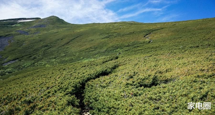 |家电零售渠道碎片化的幕后主角，不是资本而是用户