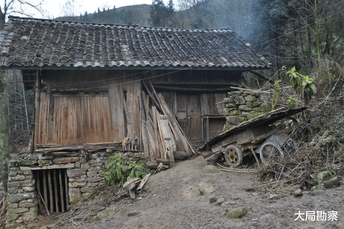 |农村住房补贴新政策，国家发钱，3类农房可一领到，最高有20万？