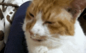 高墙那些事 这些病，都是服刑人员最容易得的